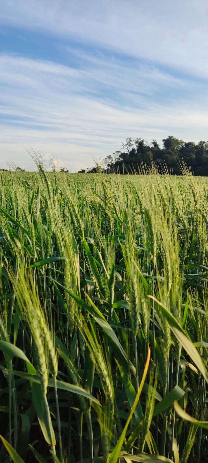 WhatsApp Image 2024-08-22 at 15.58.42 WhatsApp Image 2024-08-22 at 15.58.42