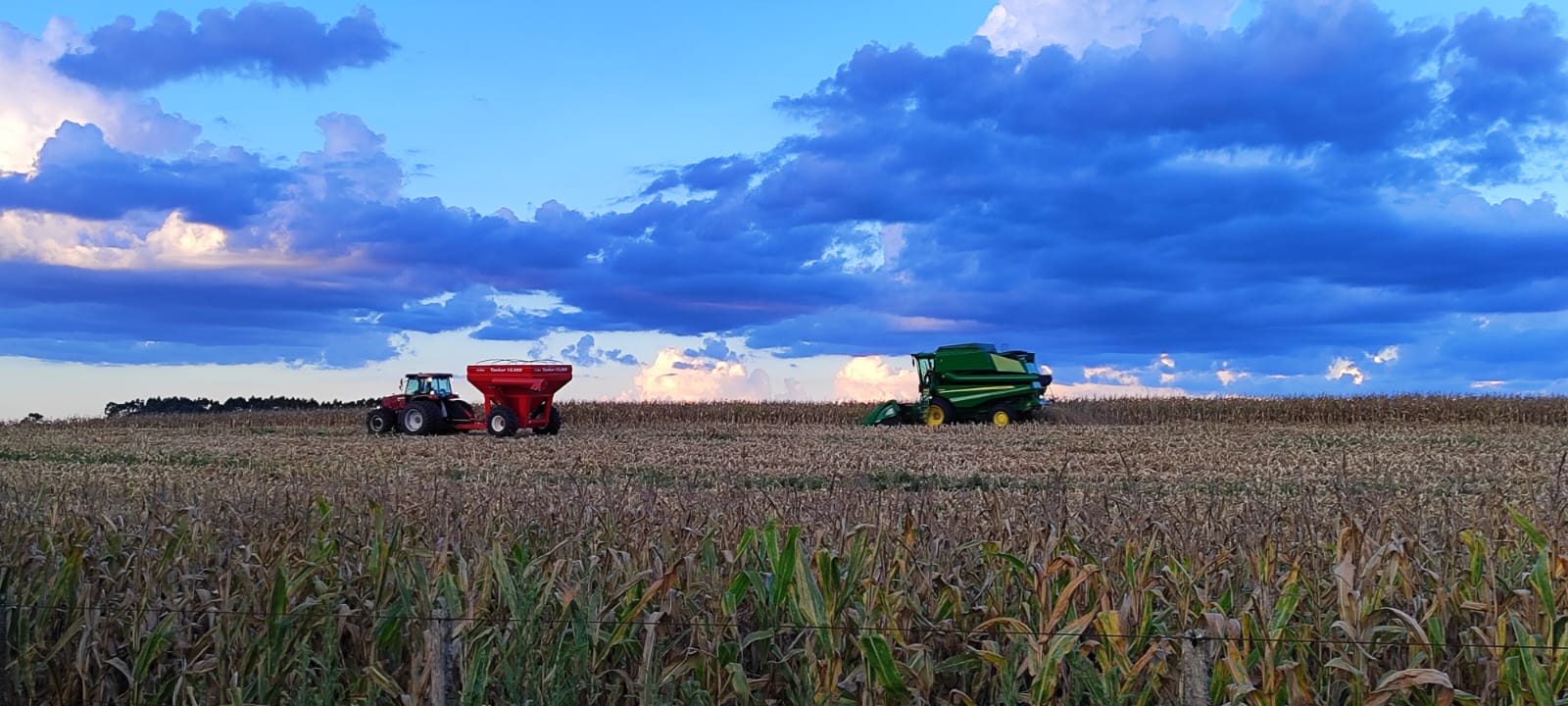 WhatsApp Image 2024-08-22 at 15.55.17 WhatsApp Image 2024-08-22 at 15.55.17